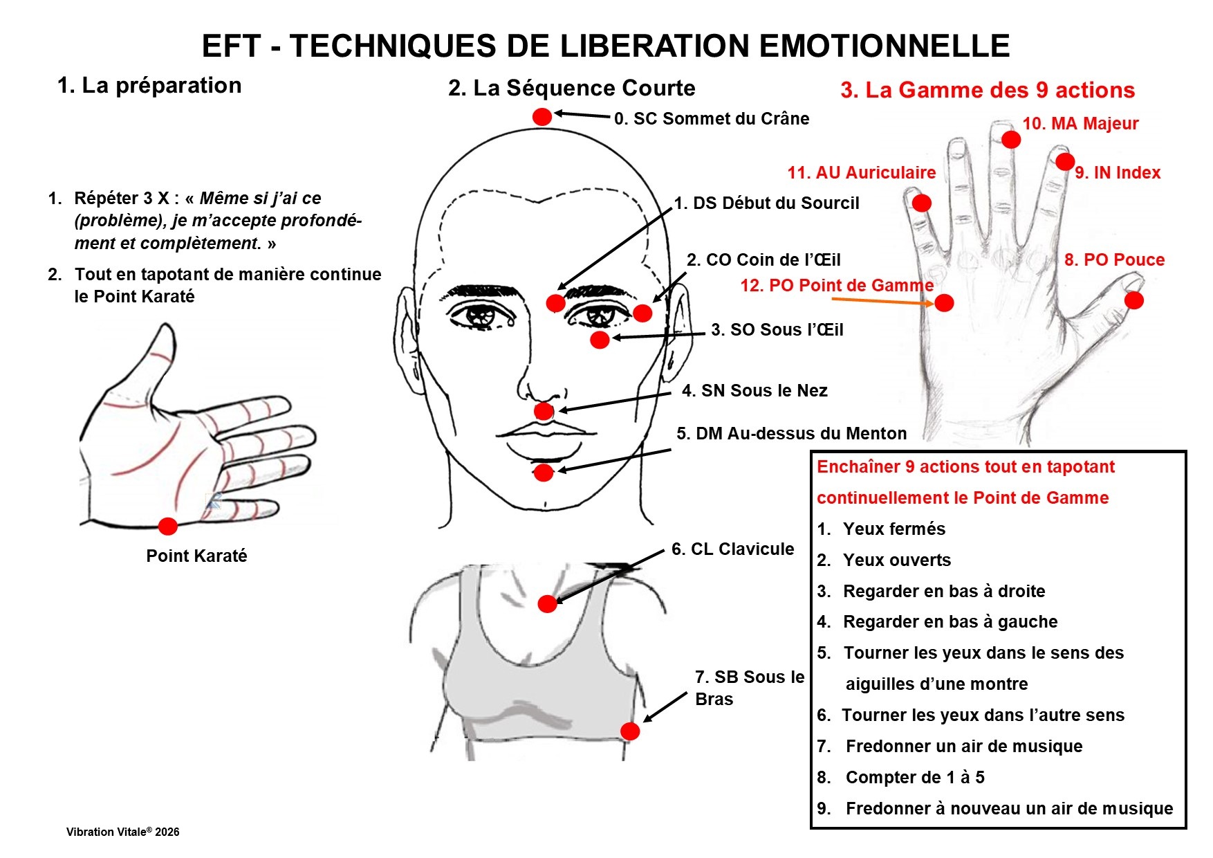 Carte des Points EFT — Techniques de Libération Émotionnelle